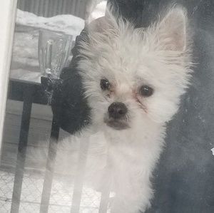 Meet your Posher, Edilfonso